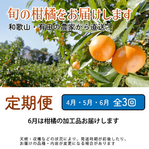 家庭用 柑橘定期便S（4～6月）全3回 ［IKE304］