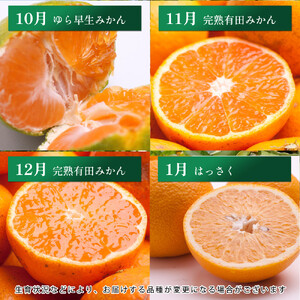 家庭用 柑橘定期便M（毎月）全12回 ［IKE307］