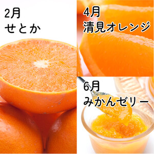 家庭用 柑橘定期便M（偶数月）全6回 ［IKE309］