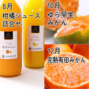 家庭用 柑橘定期便M（偶数月）全6回 ［IKE309］