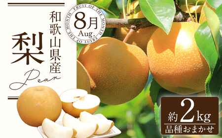 定期便全3回 【7月・8月・9月発送】 和歌山の夏のフルーツをお届け（桃・梨・シャインマスカット） ［TM224］