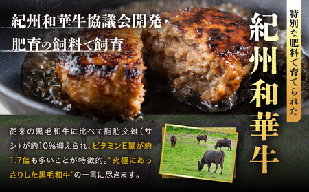 ［A4・A5］熟成紀州和華牛ミンチ 1kg（200g×5P）