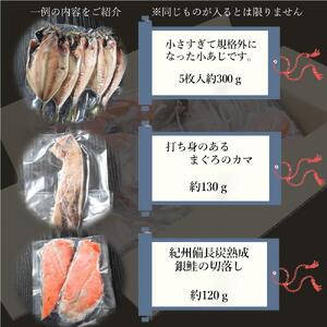 紀州高下水産 おまかせ 詰合せ 総重量約1kg 訳あり 規格外