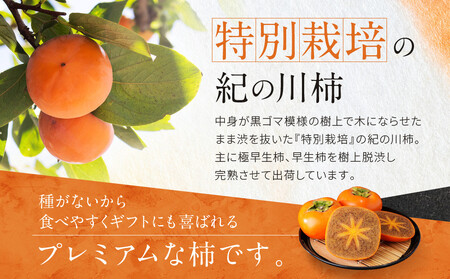 ［2026年発送分］先行予約！ 紀の川柿（果実の中身が黒い！黒蜜柿）希少栽培！ 秀品 6個～9個 こだわり農家厳選！［KG34］