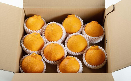 不知火 約3kg 大玉9～11玉入り 《赤秀》 和歌山県産 農園直送 まごころ産直みかん 【北海道・沖縄県・一部離島 配送不可】 みかん 果物 柑橘 しらぬい デコポンと同じ品種 でこぽん ［Mg52］