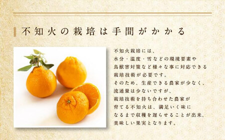 不知火 約3kg 大玉9～11玉入り 《赤秀》 和歌山県産 農園直送 まごころ産直みかん 【北海道・沖縄県・一部離島 配送不可】 みかん 果物 柑橘 しらぬい デコポンと同じ品種 でこぽん ［Mg52］