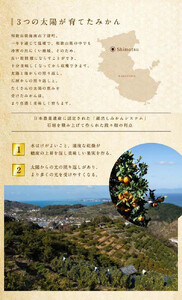 不知火 約3kg 大玉9～11玉入り 《赤秀》 和歌山県産 農園直送 まごころ産直みかん 【北海道・沖縄県・一部離島 配送不可】 みかん 果物 柑橘 しらぬい デコポンと同じ品種 でこぽん ［Mg52］