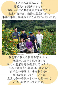 不知火約5kg 15～24玉入り 《ご家庭用》 訳あり 和歌山県産 農園直送 まごころ産直みかん【北海道・沖縄県・離島配送不可】みかん 柑橘 しらぬい デコポンと同じ品種  ［Mg54］