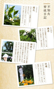 不知火 約5kg 15～24玉入り 《赤秀》 和歌山県産 農園直送 まごころ産直みかん 【北海道・沖縄県・一部離島 配送不可】 みかん 果物 柑橘 しらぬい デコポンと同じ品種 でこぽん ［Mg53］