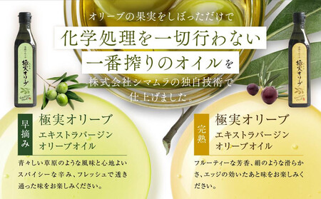 【定期便3ヶ月コース】エキストラバージンオリーブオイル 堪能セット【SM8-1】