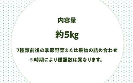 旬をお届け！和歌山市産・野菜または果物の詰め合わせ