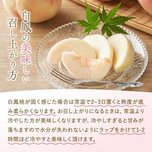 和歌山県産 白鳳 桃 5～8玉入り 秀品 先行予約［2026年6月下旬以降発送］［MG6］