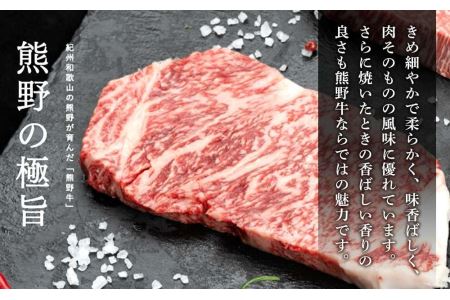 熊野牛 自家製ハンバーグ 10個入り | 和歌山県和歌山市 | ふるさと納税
