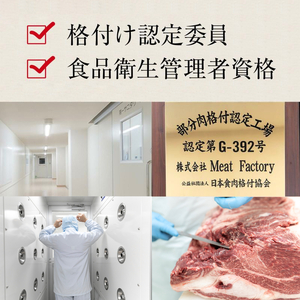 無塩せき ハム・ソーセージ・ベーコン 5種詰め合わせセット 真心