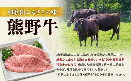 熊野牛 MEGAバーグ 1,350g