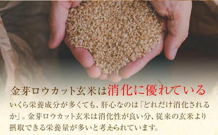 金芽ロウカット玄米 8kg（2kg×4）【玄米 ロウカット玄米 無洗米玄米 金芽米玄米 お米玄米 人気玄米 和歌山県 和歌山市】