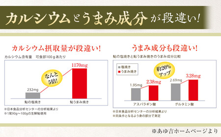 鮎まんまの素（２合用×２パック）