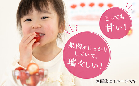 まりひめ2パック【2026年3月～4月発送分】