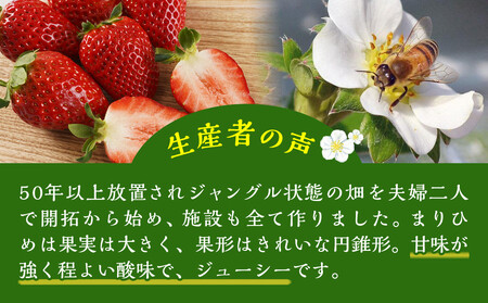 まりひめ4パック【2026年3月~4月発送分】