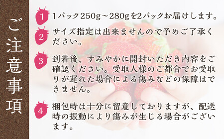 まりひめ4パック【2026年3月~4月発送分】