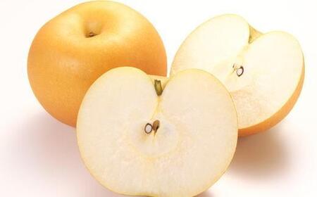 和歌山県産の梨約2kg(品種おまかせ)★2026年8月下旬頃より順次発送【TM181】