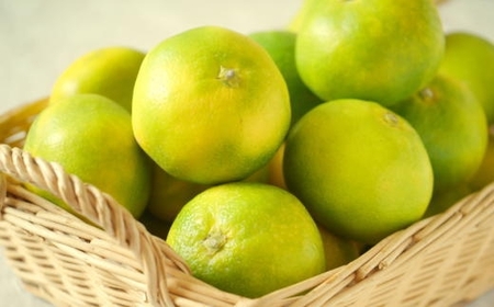 ［極早生みかんの逸品］和歌山県産ゆら早生みかん約5kg★2026年10月中旬頃より順次発送［TM120］