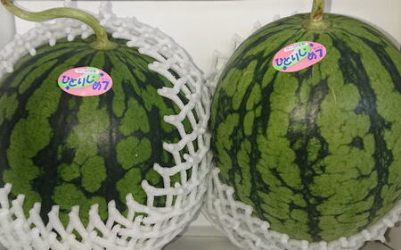 【産地直送】和歌山産小玉すいか「ひとりじめ7(セブン)」2玉入り　3.5kg以上★2026年６月下旬頃より順次発送【TM171】