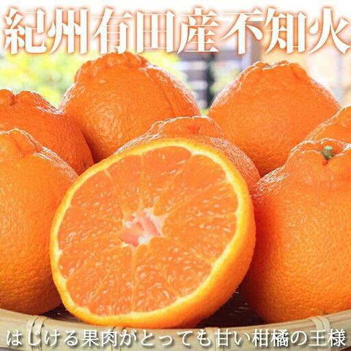 紀州有田産不知火(しらぬひ) 約５kg［2026年2月中旬以降発送］［先行予約］［UT40］