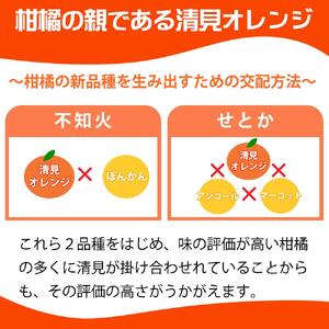 とにかくジューシー清見オレンジ　5kg【2025年3月下旬以降発送】【先行予約】【UT53】
