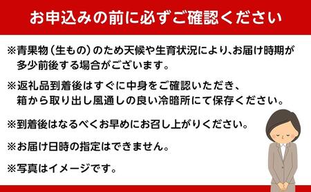 和歌山産 ［極早生］みかん 5kg ［ご自宅用・サイズ不揃い・キズ等あり］［ヤマタ大谷商店］
