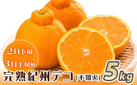 ［魚鶴商店厳選］和歌山人気の柑橘定期便（有田みかん・不知火・清見オレンジ）［定期便全3回］［UT116］
