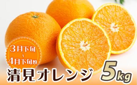 ［魚鶴商店厳選］和歌山人気の柑橘定期便（有田みかん・不知火・清見オレンジ）［定期便全3回］［UT116］