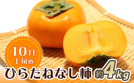 【魚鶴商店厳選】和歌山人気のフルーツ定期便（柿・みかん）【定期便全3回】【UT115】