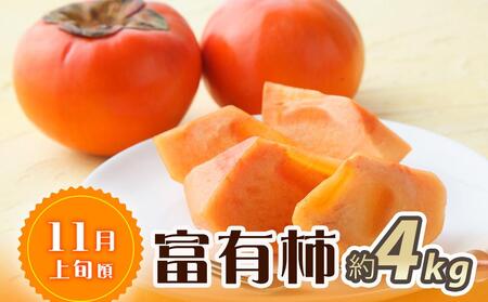 【魚鶴商店厳選】和歌山人気のフルーツ定期便（柿・みかん）【定期便全3回】【UT115】