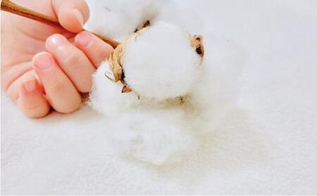 オーガニックコットン　タオルシーツ　シングルサイズ（145×230cm）かすみ　グレー  SNS-12-GY