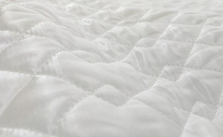 ピュアシルク枕パッド　2枚組　Mサイズ（43×63cm）SCC-4363-2P