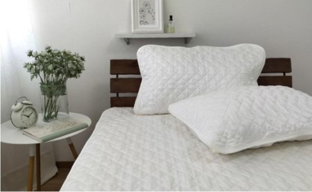 ピュアシルク枕パッド　2枚組　Mサイズ（43×63cm）SCC-4363-2P