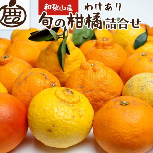 ［先行予約］家庭用 柑橘詰合せ2.5kg+250g（傷み補償分）［訳あり・わけあり］［有田の春みかん詰め合わせ・フルーツ詰め合せ・オレンジつめあわせ］［光センサー選別］［IKE116］