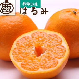 ［先行予約］厳選 はるみ5kg+250g（傷み補償分）［デコポンの姉妹品種・新食感春みかん］［IKE122］