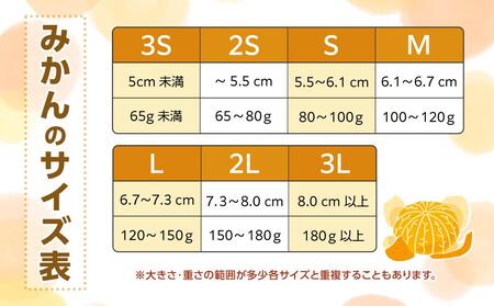 和歌山県産 糖度 12.5度以上 訳あり みかん 3kg 3Ｓ～Ｌサイズ混合【NY4w】