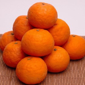 ダリンと 初夏のみかん なつみ5kg 和歌山県 和歌山市 和歌山 天ふるさと 納税 支援品 返礼品 お取り寄せグルメ お取り寄せ 取り寄せ グルメ フルーツ 果物 くだもの みかん ミカン 蜜柑 柑橘類 かんき あらかじめ