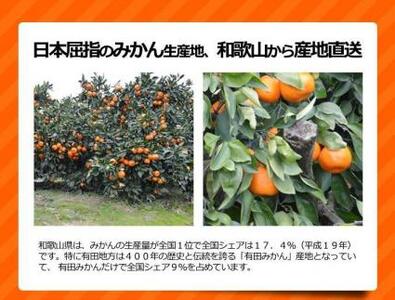 訳ありみかん 約10kg(箱込み）　和歌山県産