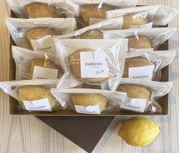 和歌山レモンケーキ スタンダード(12個入)