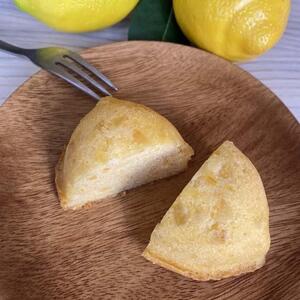 和歌山レモンケーキ スタンダード(12個入)