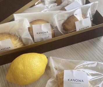 和歌山レモンケーキ スタンダード(12個入)