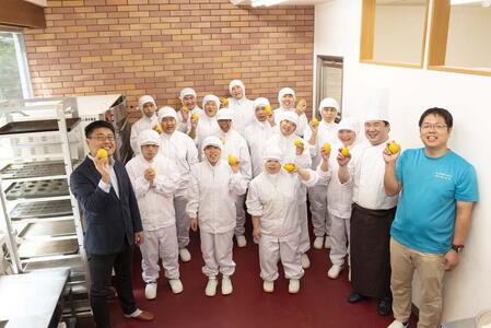 和歌山レモンケーキ スタンダード(12個入)