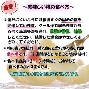 【秀品】和歌山ブランド白桃 約2kg！ ギフト 贈答品にも! 2026年7月発送分