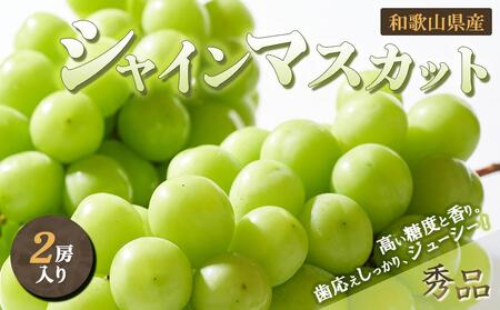 ◆先行予約◆和歌山県産 シャインマスカット 2房入り〈秀品〉【2024年8月中旬以降出荷】【MG23】