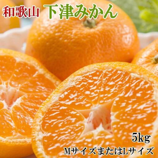 ［産直・秀品］和歌山下津みかん約5kg(MサイズまたはLサイズのいずれかをお届け) ★2026年11月中旬頃より順次発送［TM74］