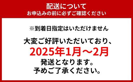 【和歌山工場製造】花王 アタック抗菌EX つめかえ用 900ｇ×6袋【ご家庭用】洗剤・洗濯洗剤・洗濯用洗剤・洗剤・洗剤・洗剤